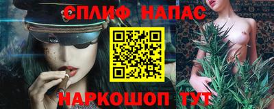 МДПВ Будённовск