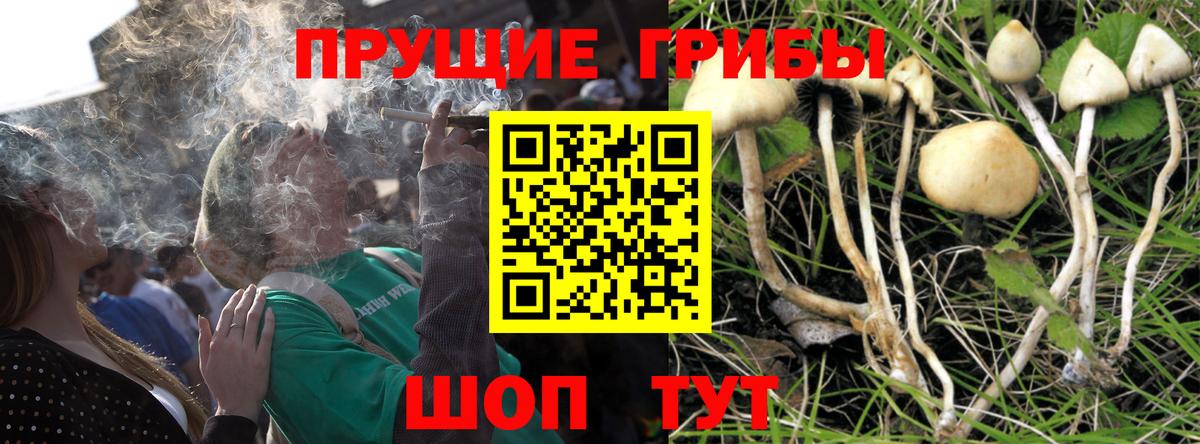 Галлюциногенные грибы ЛСД  магазин    Вход с VPN  Магнитогорск  Галлюциногенные грибы GOLDEN TEACHER 